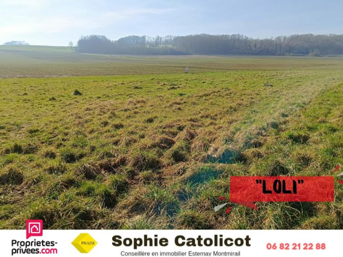 Terrain 865 m²
