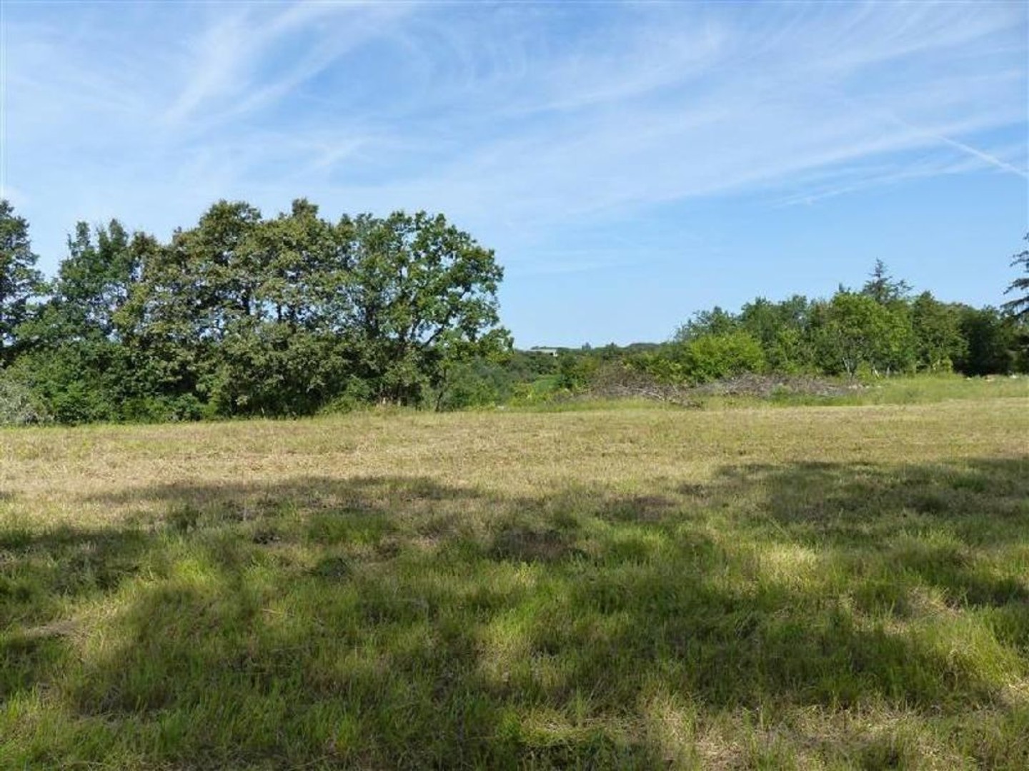 Terrain