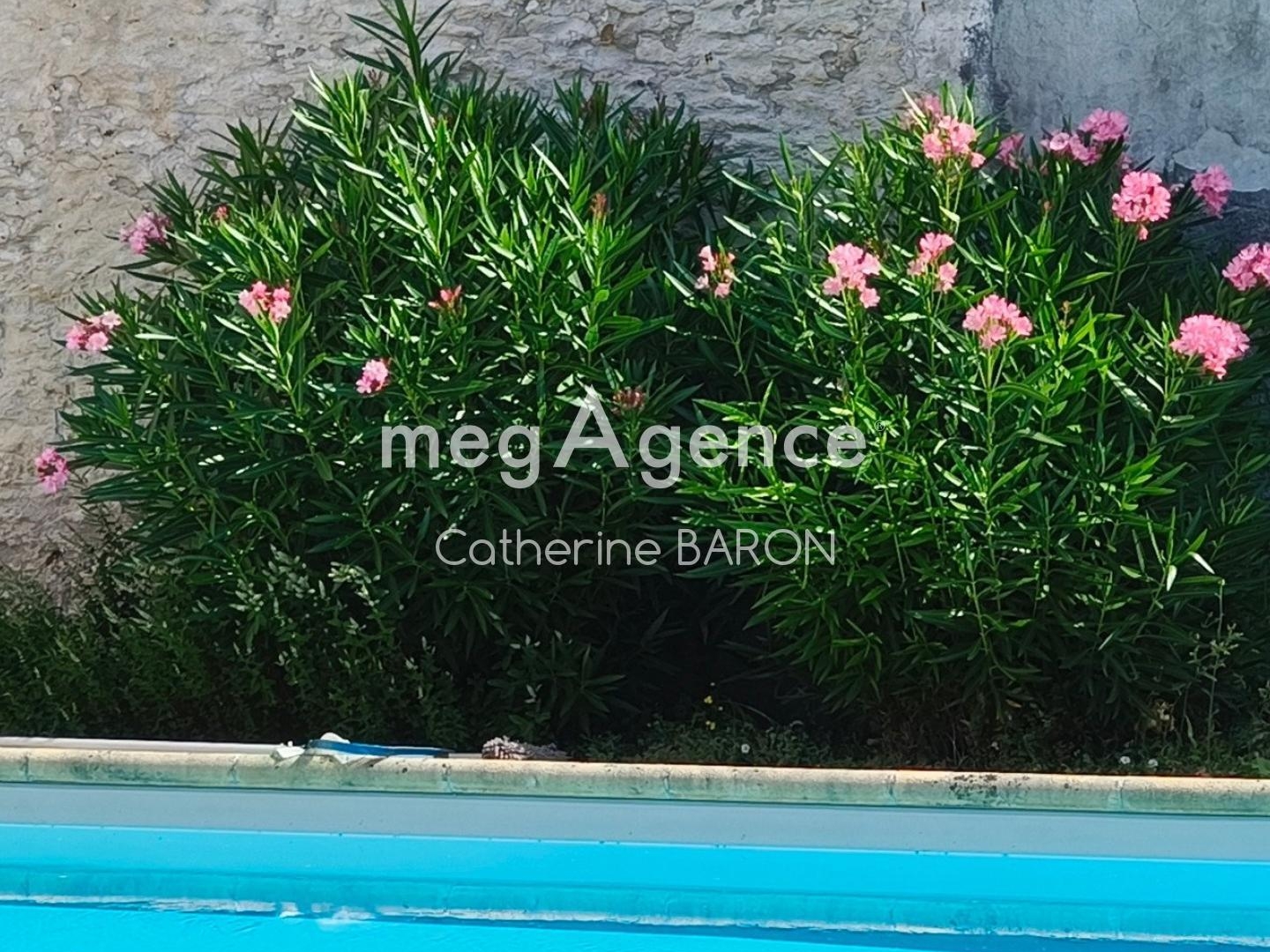 Maison à vendre - 6 pièces - 175m2 - Cognac (16100)