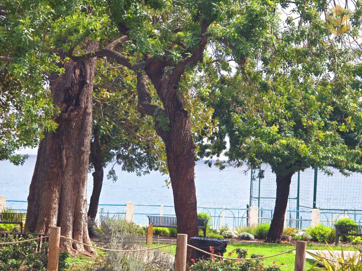 UN PETIT RESTAURANT VUE MER - CONVIVIAL ET FAMILIAL - AXE PA