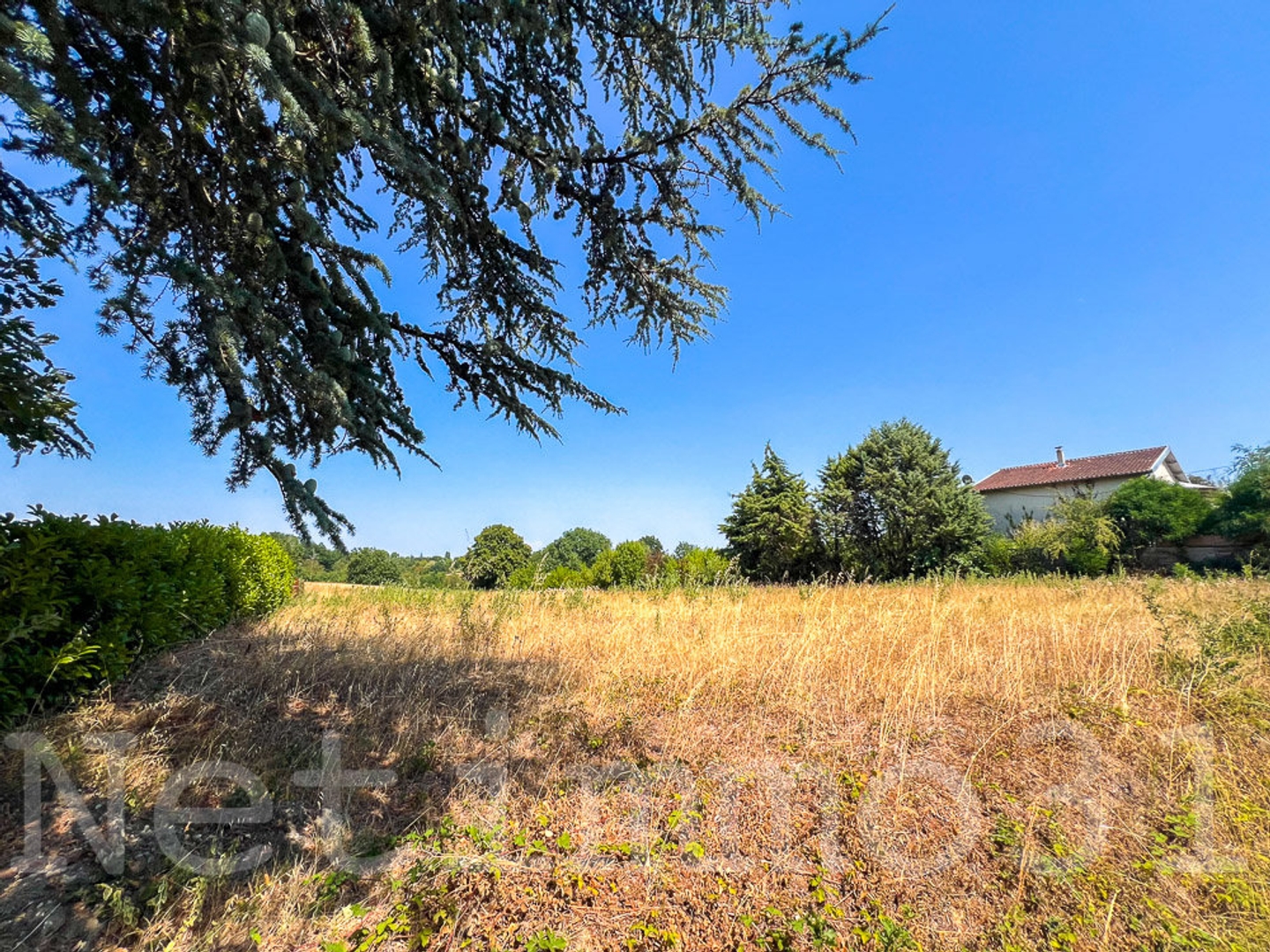 Grand terrain constructible
