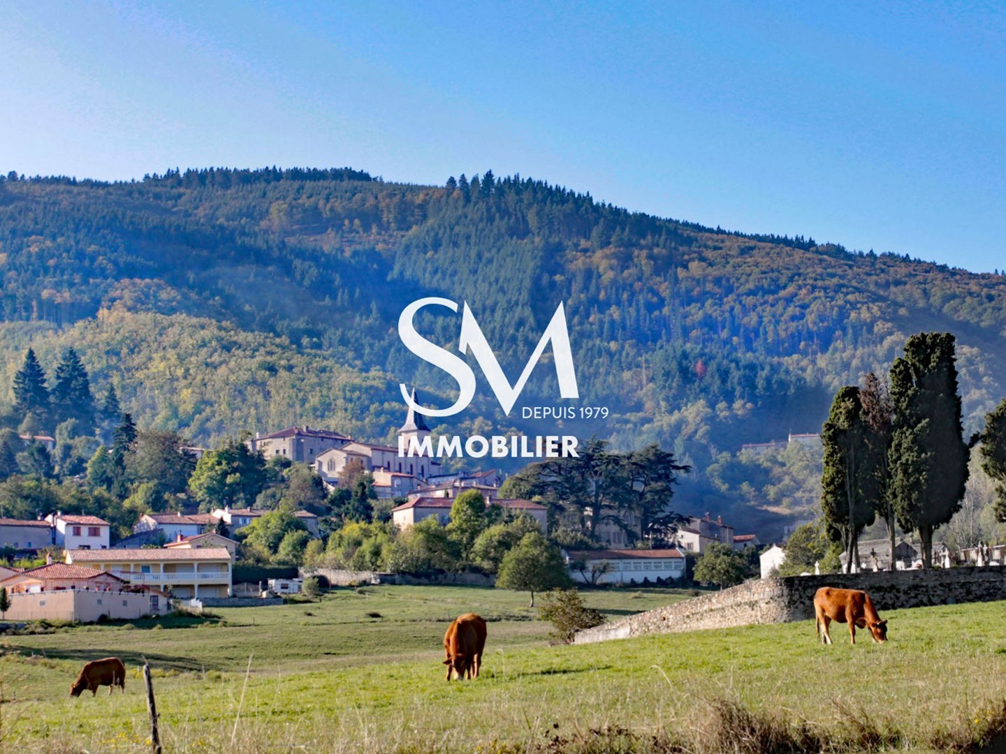 Terrain à vendre - 717m2 - Aussillon (81200)