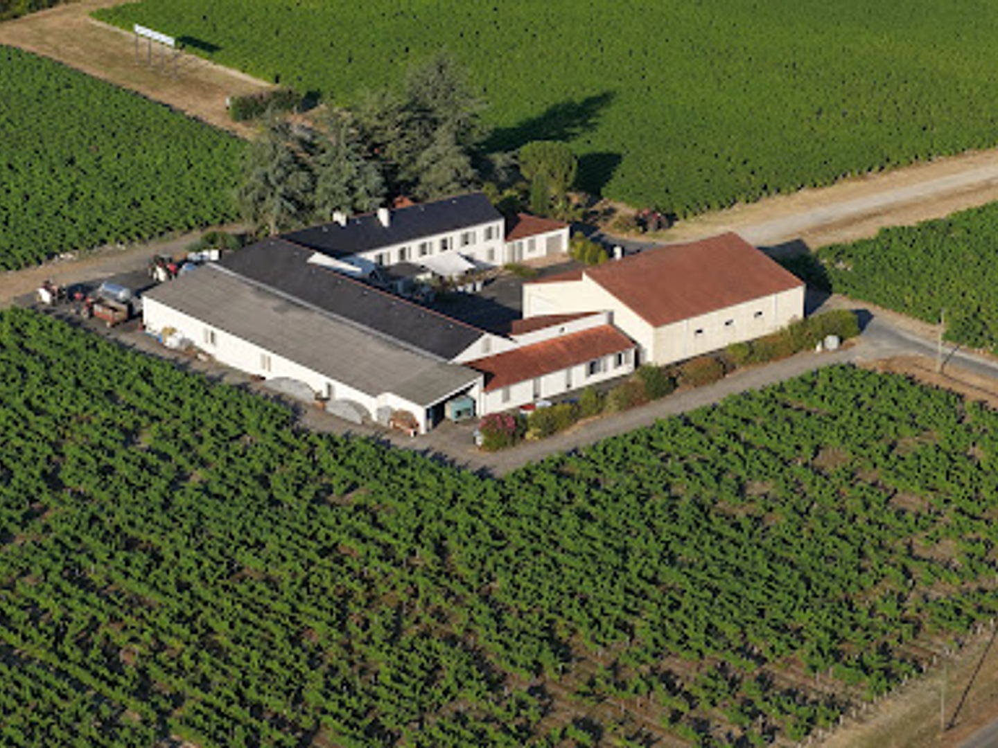 Vignoble 380000 m²