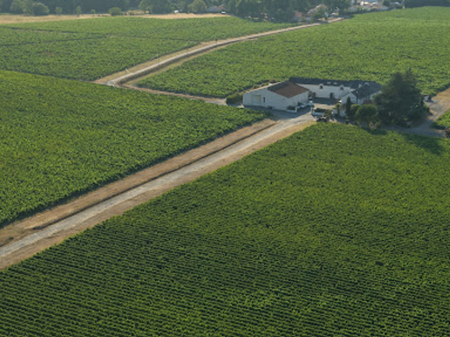 Terrain à vendre - 380000m2 - Vertou (44120)