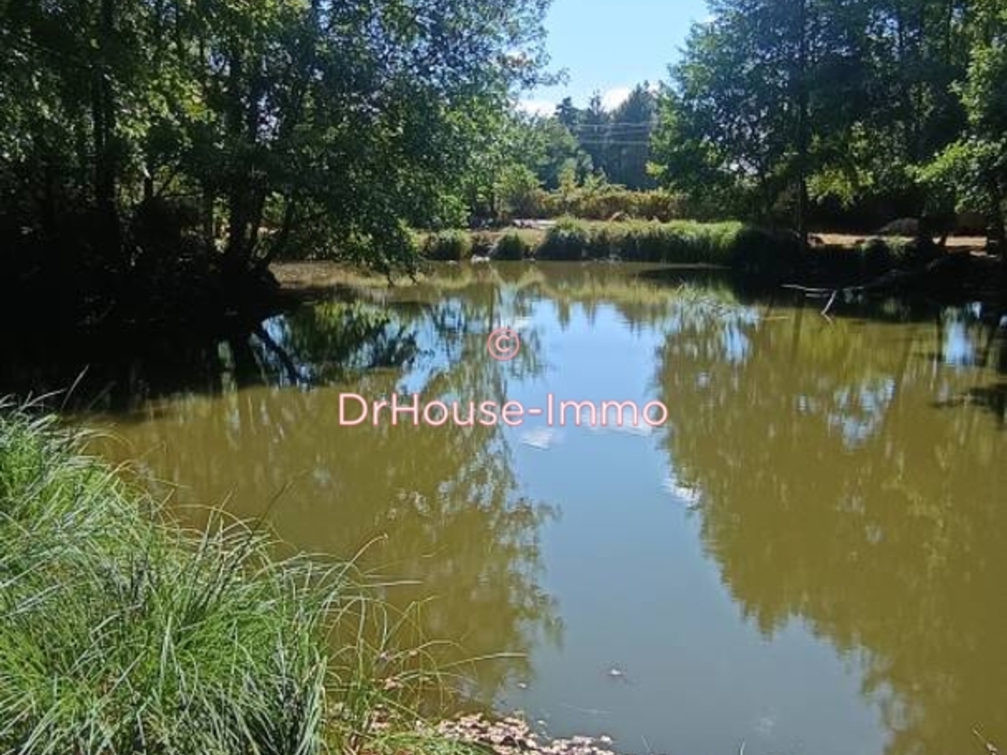 Terrain à vendre - 2450m2 - Mellé (35420)