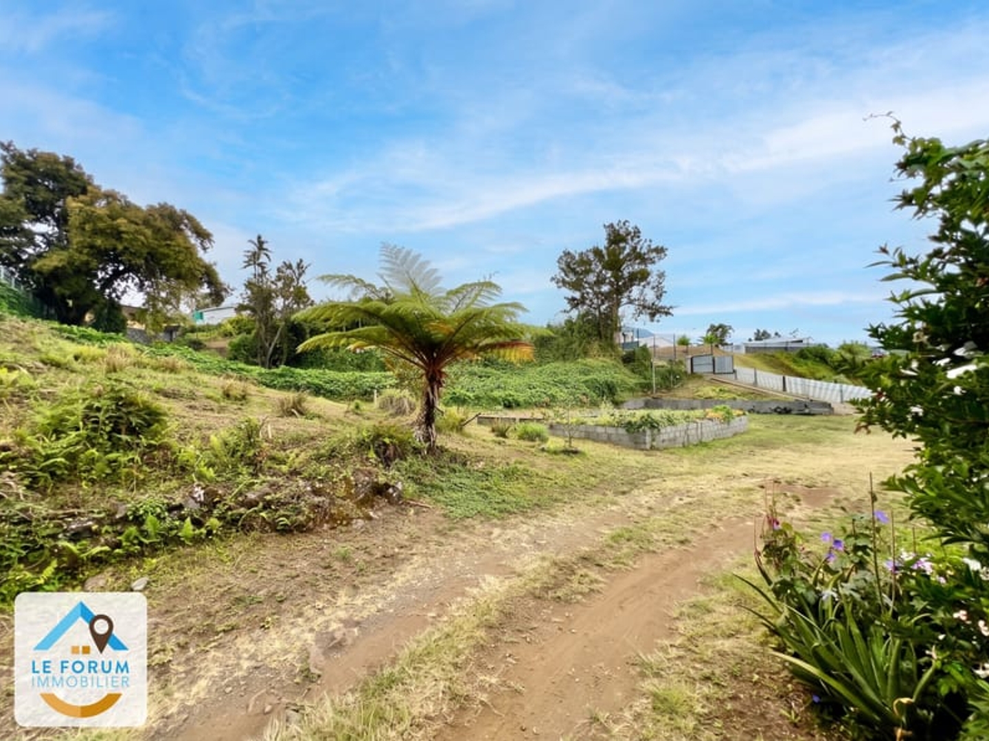 Terrain à vendre - 550m2 - Le Tampon (97430)