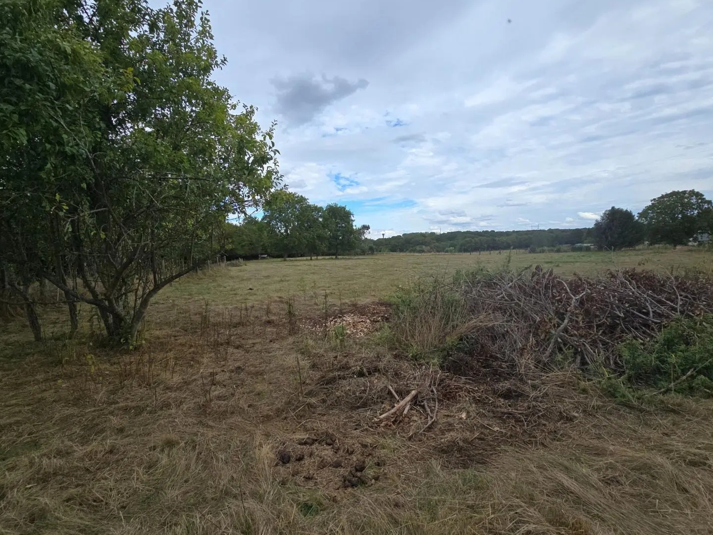 Terrain à vendre - 10680m2 - Le Perrey (27500)