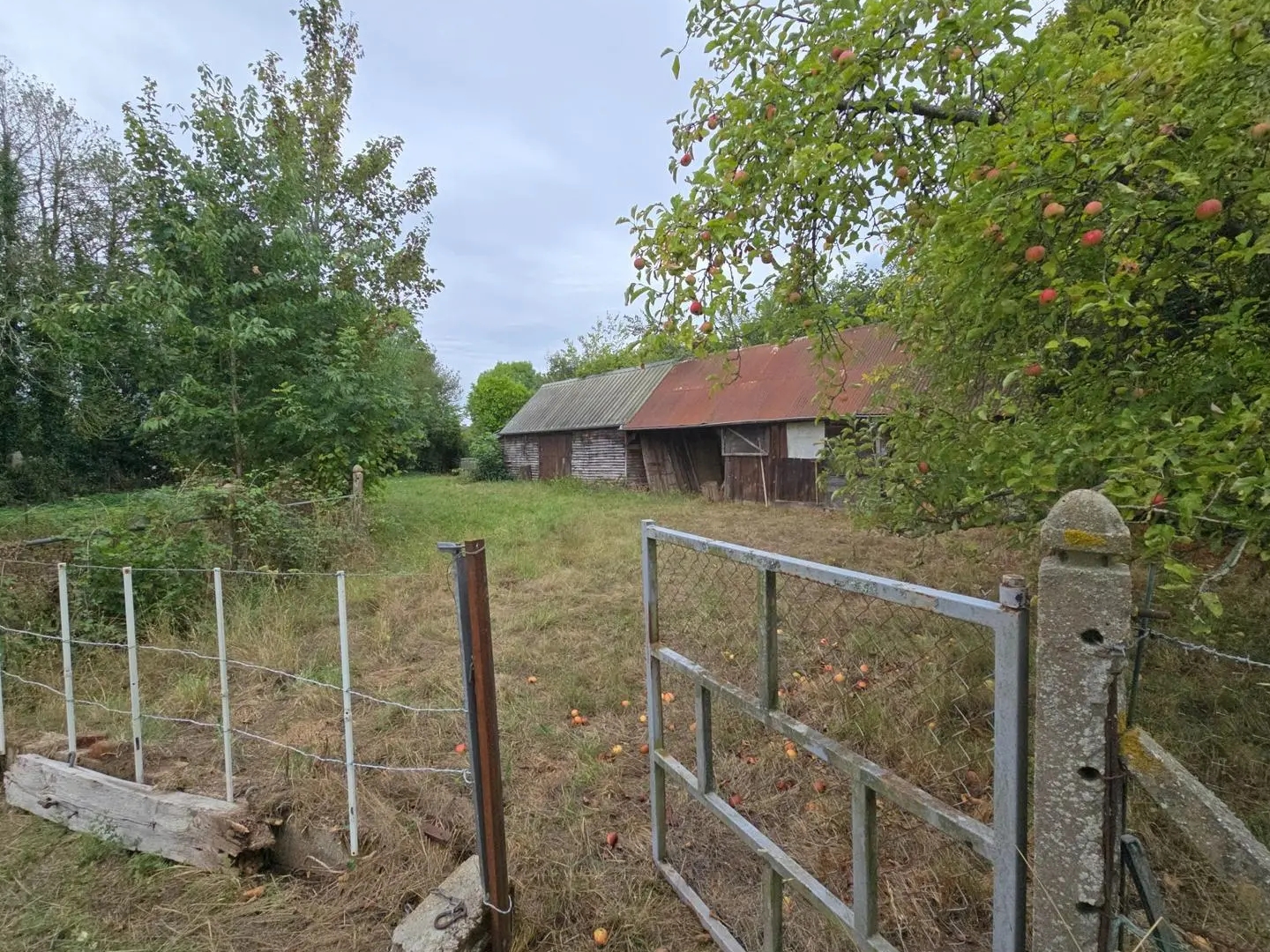 Terrain à vendre - 10680m2 - Le Perrey (27500)