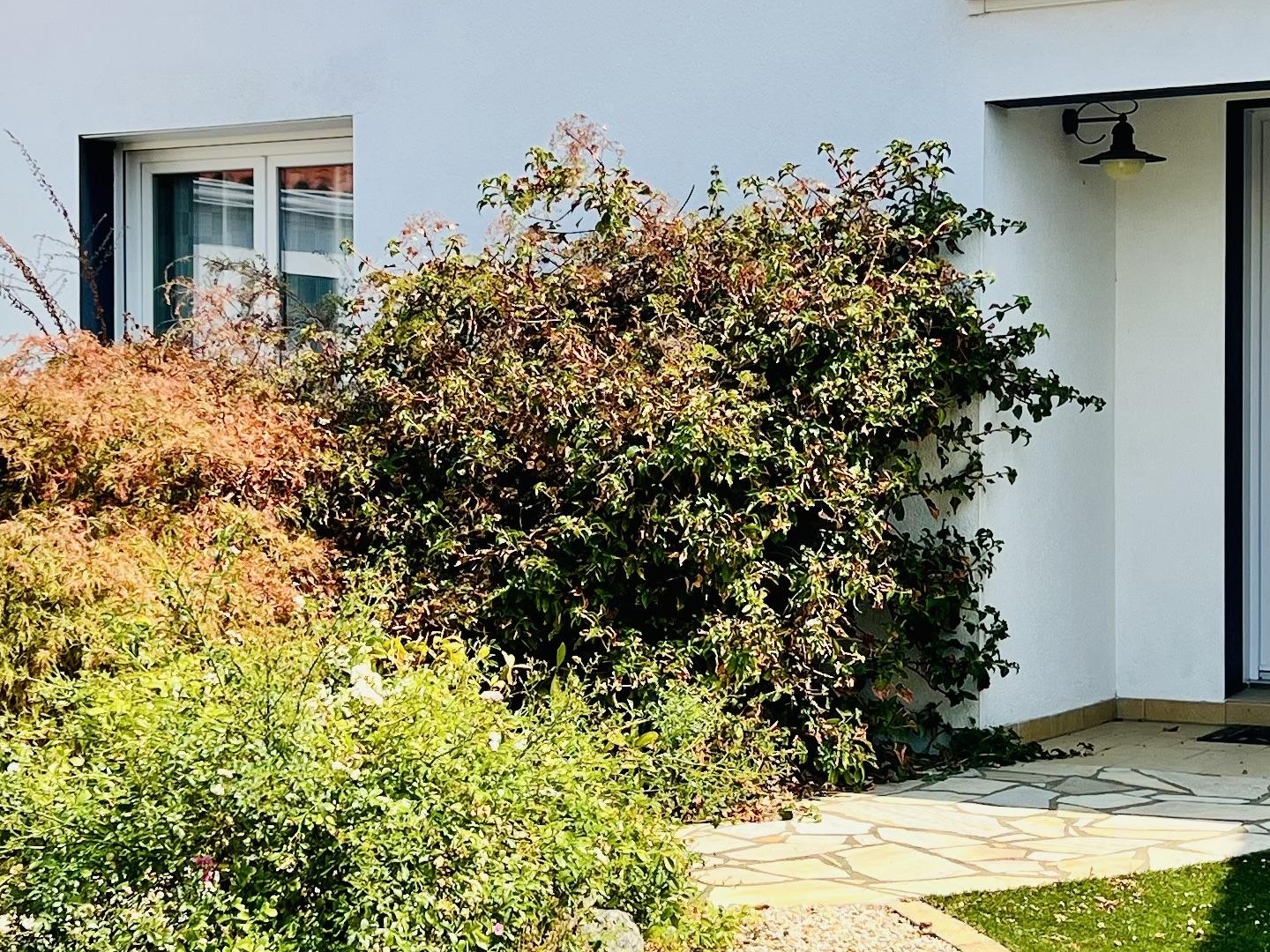 Maison d'architecte 5 pièces
