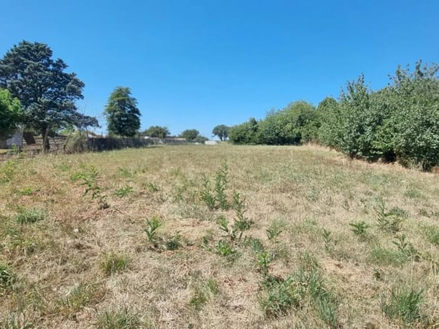 Terrain