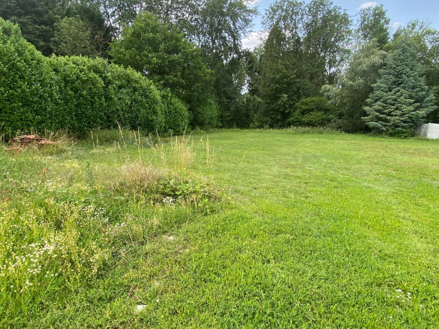 Terrain 2150 m²