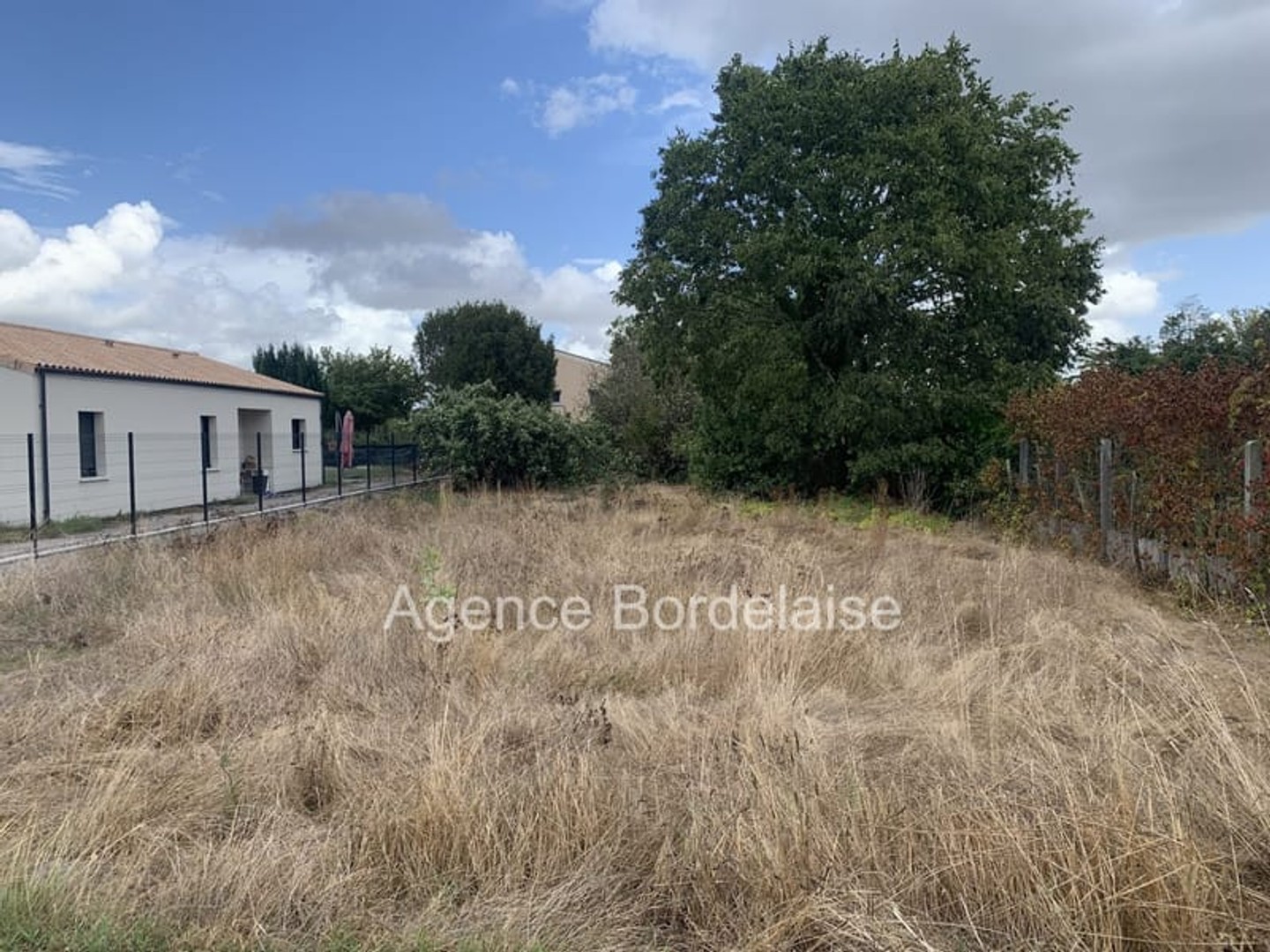 Terrain 717 m²