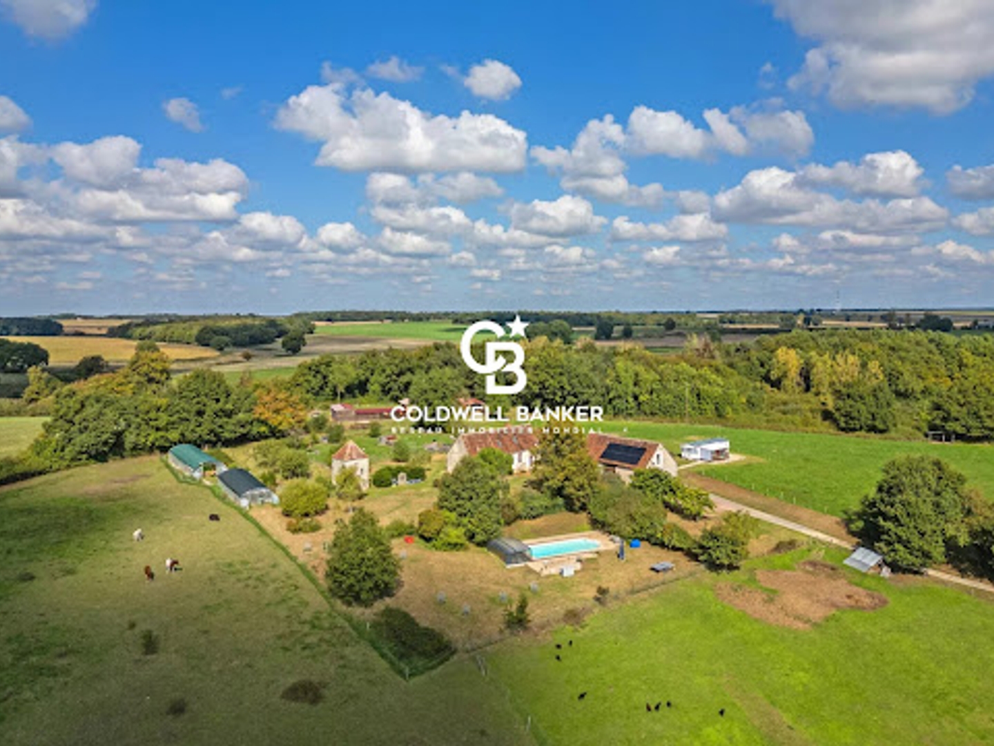 Maison à vendre - 10 pièces - 430m2 - Châtillon-Sur-Indre (36700)