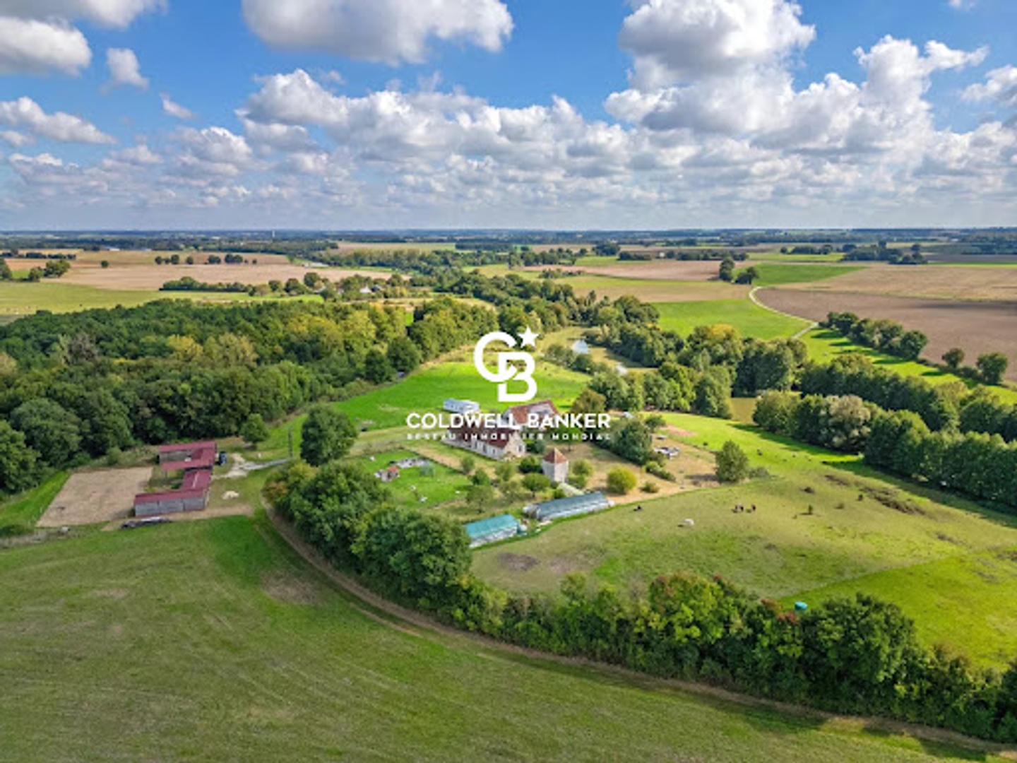 Maison à vendre - 10 pièces - 430m2 - Châtillon-Sur-Indre (36700)
