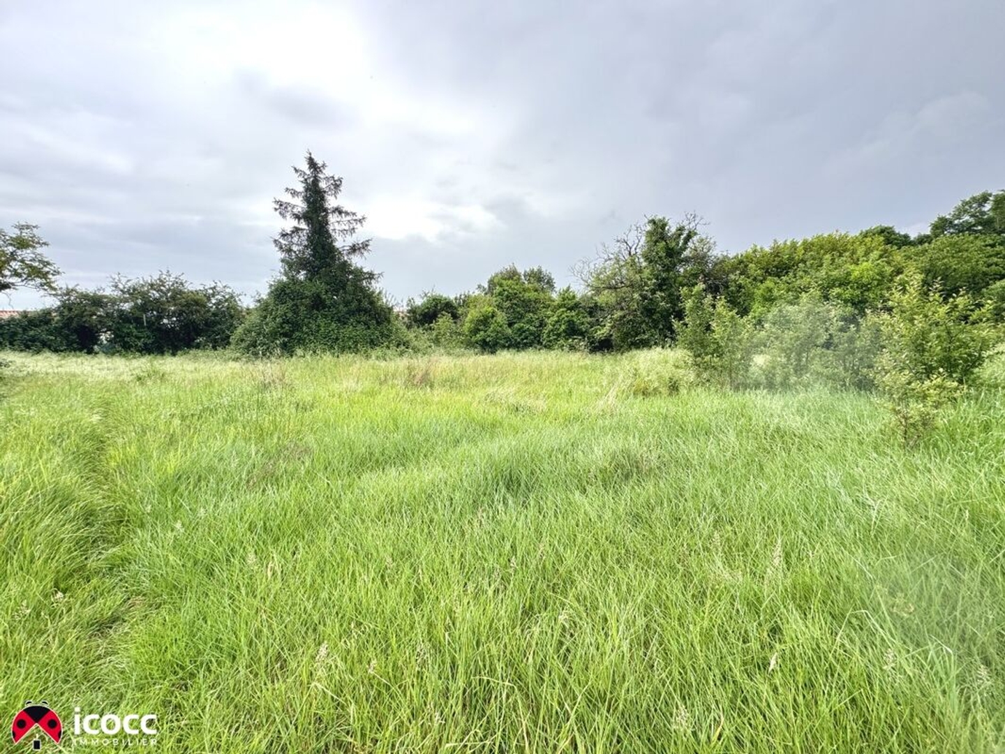 Terrain en individuel 596 m²