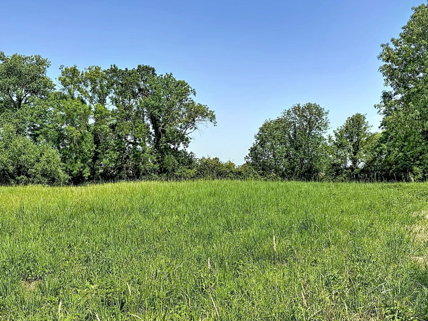 Terrain à vendre - 2948m2 - Herzeele (59470)