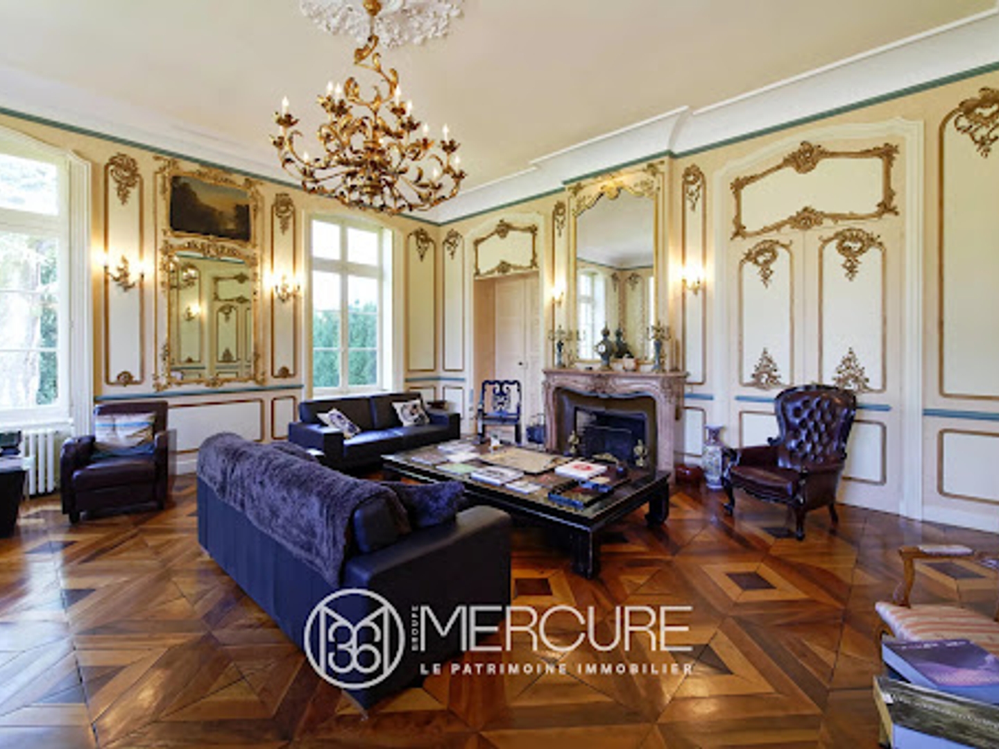 Maison à vendre - 15 pièces - 749m2 - Mâcon (71000)