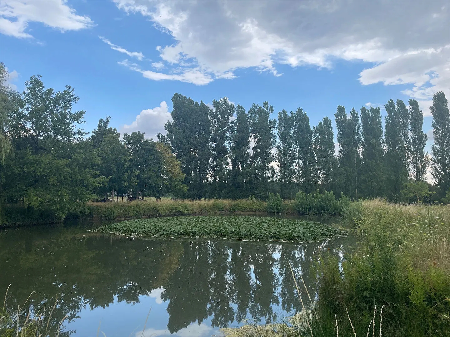 Terrain 660 m²