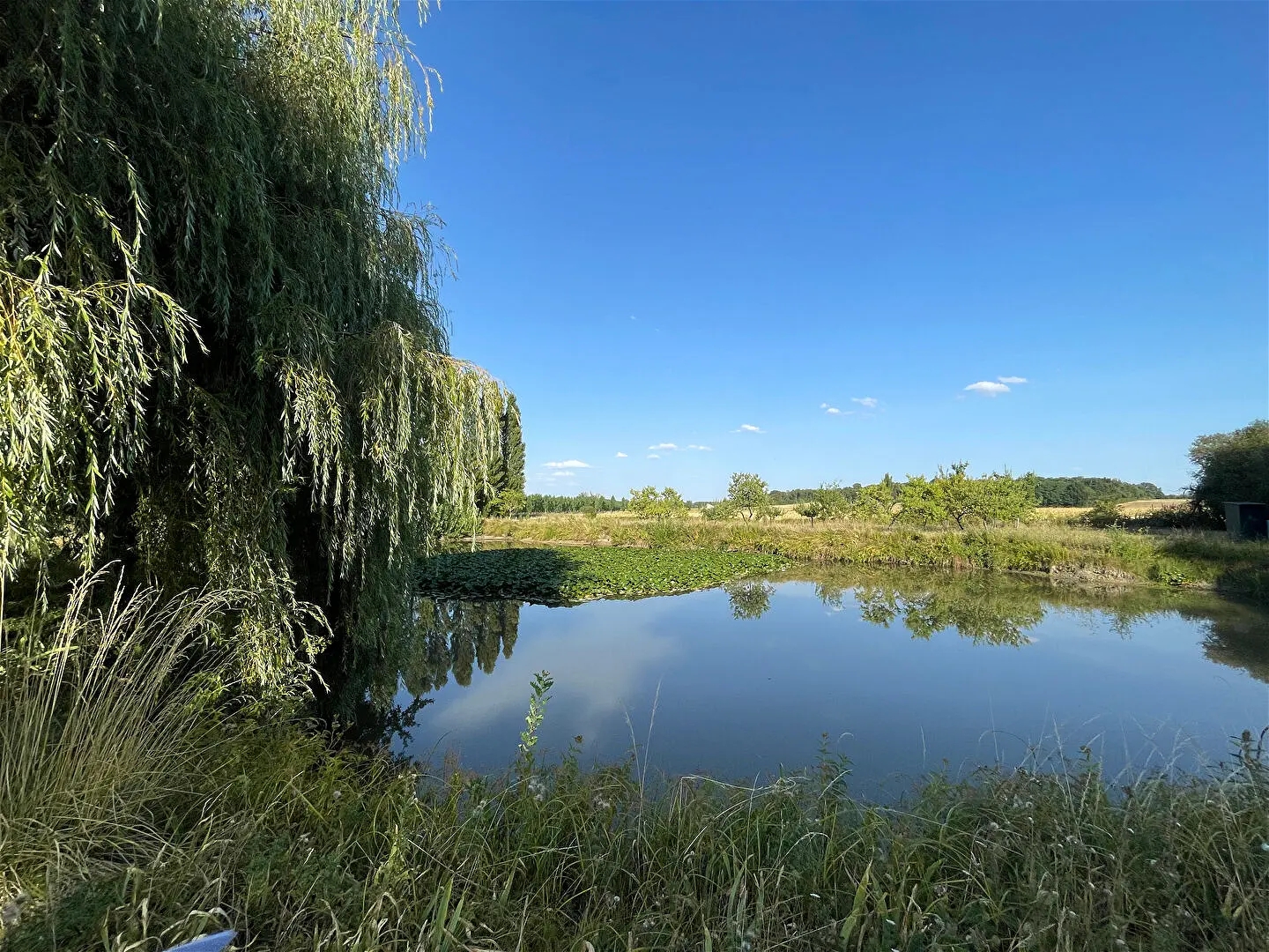 Terrain à vendre - 660m2 - Lencloître (86140)