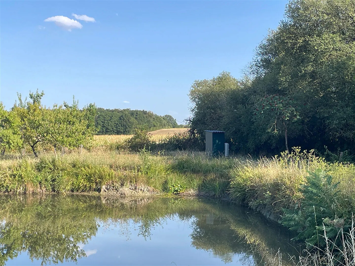Terrain à vendre - 660m2 - Lencloître (86140)