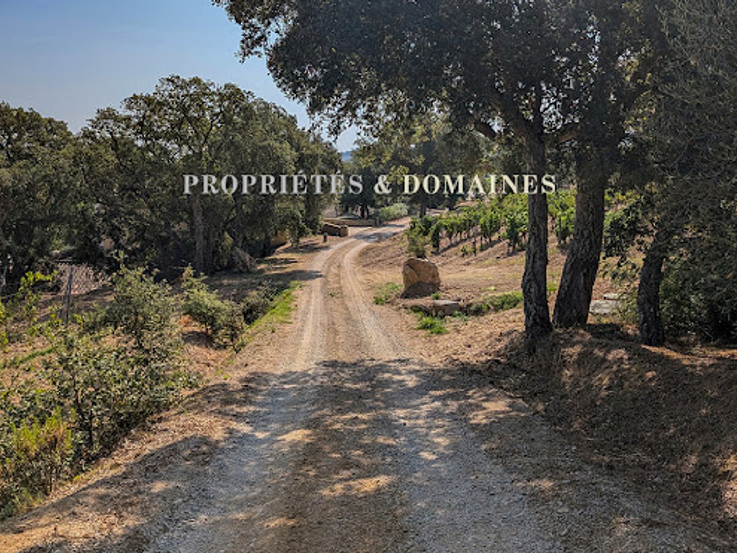 Terrain à vendre - Saint-Tropez (83990)