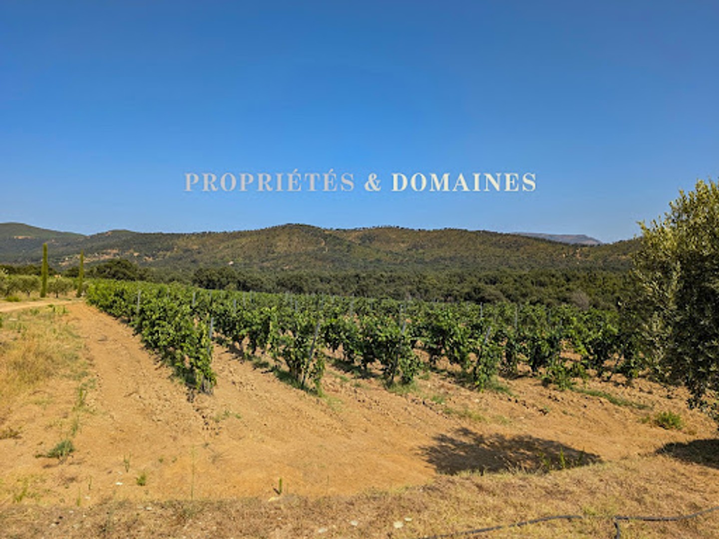 Terrain à vendre - Saint-Tropez (83990)