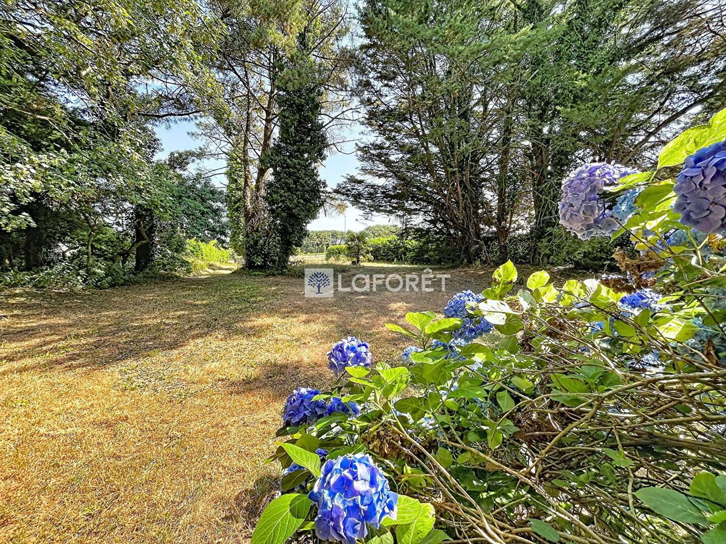Maison à vendre - 7 pièces - 190m2 - Baden (56870)