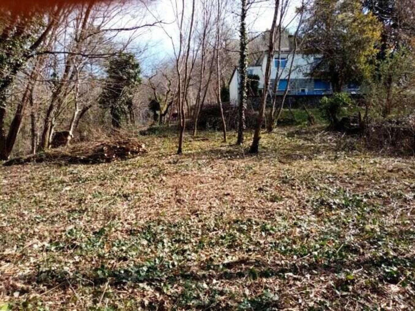 TERRAIN A VENDRE SUR LES HAUTEURS DE TULLE