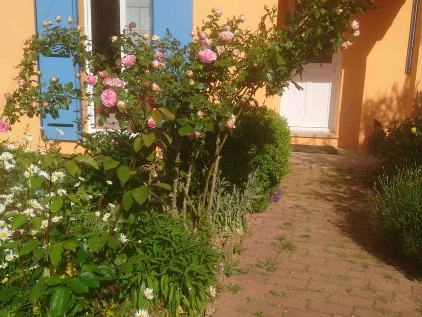 Maison à vendre - 6 pièces - 100m2 - Châtaincourt (28270)