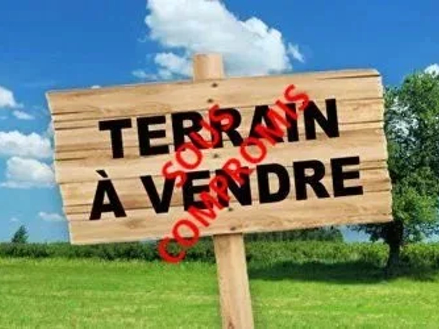 Terrain 1000 m²
