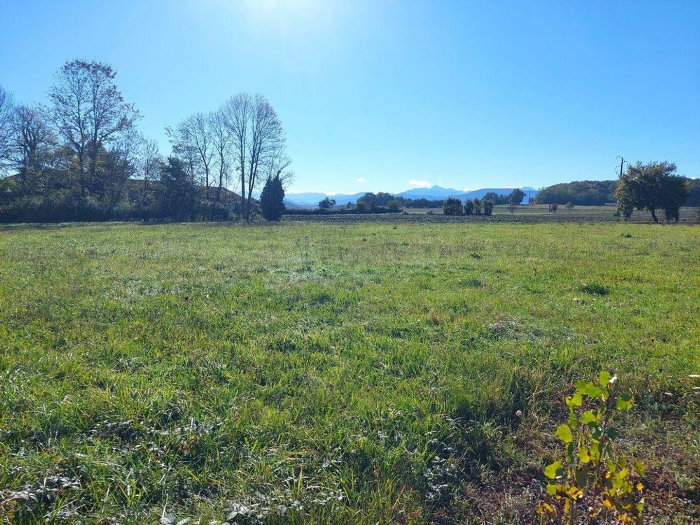 5 Terrains viabilisé " PROCHE SALIES-DU-SALAT"