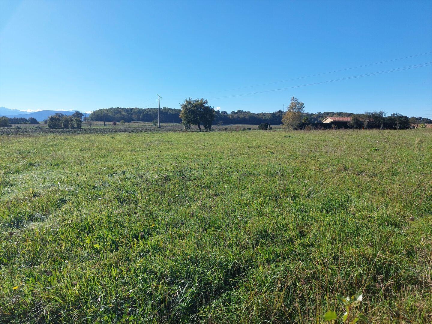Terrain à vendre - Salies-Du-Salat (31260)