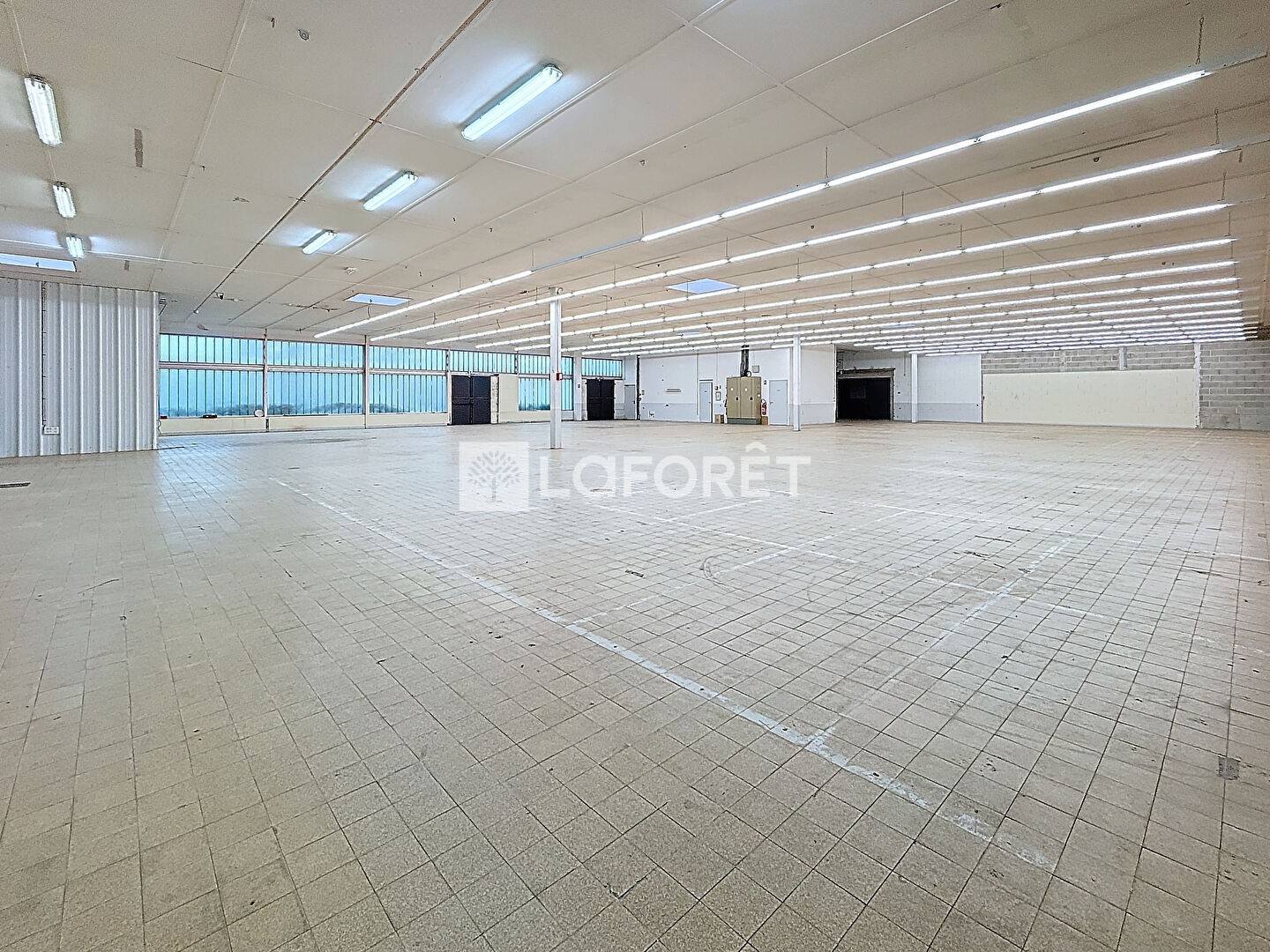 Local d'activité 4850 m²