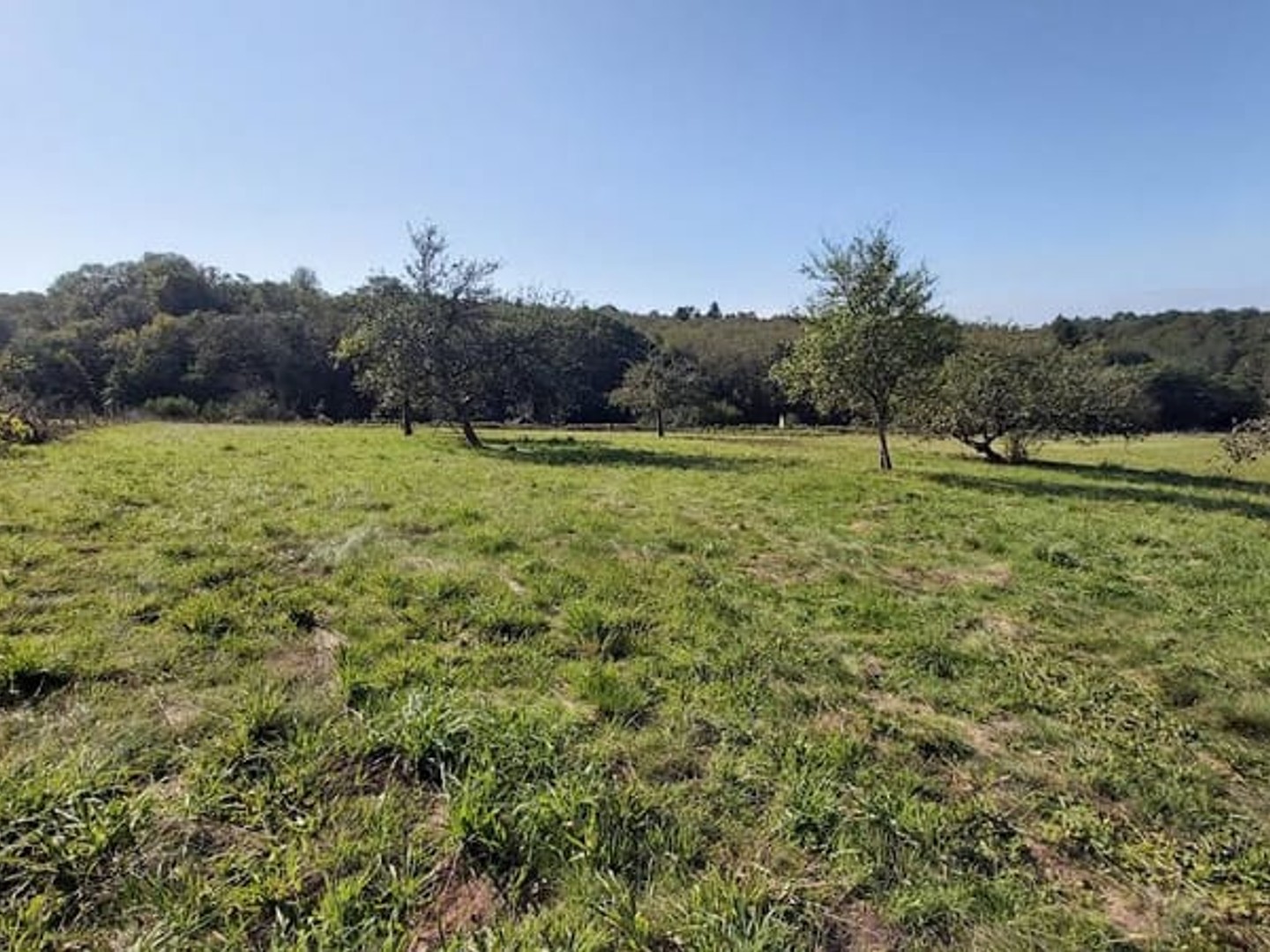 Terrain 6529 m²