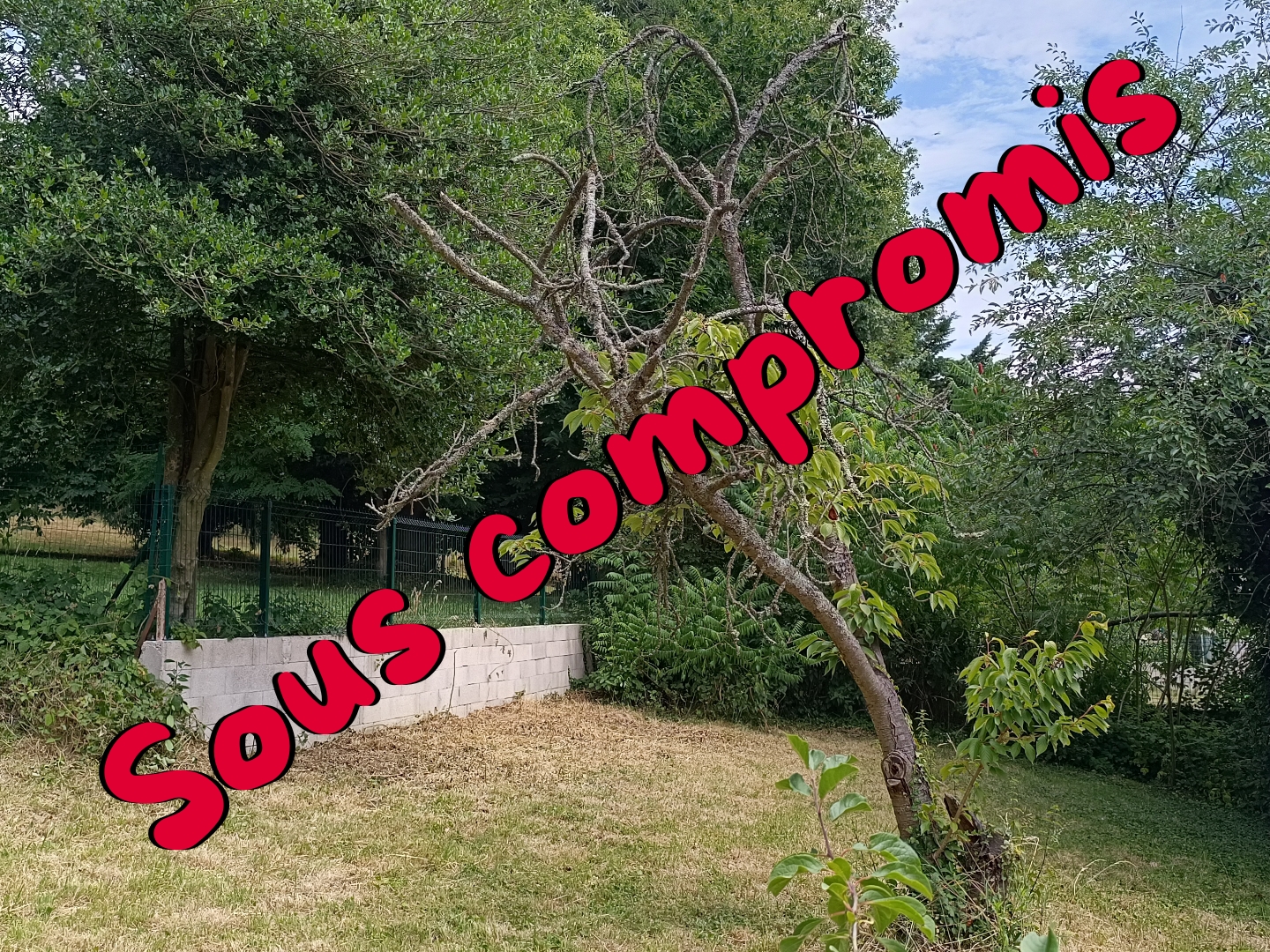 Terrain 1391 m²