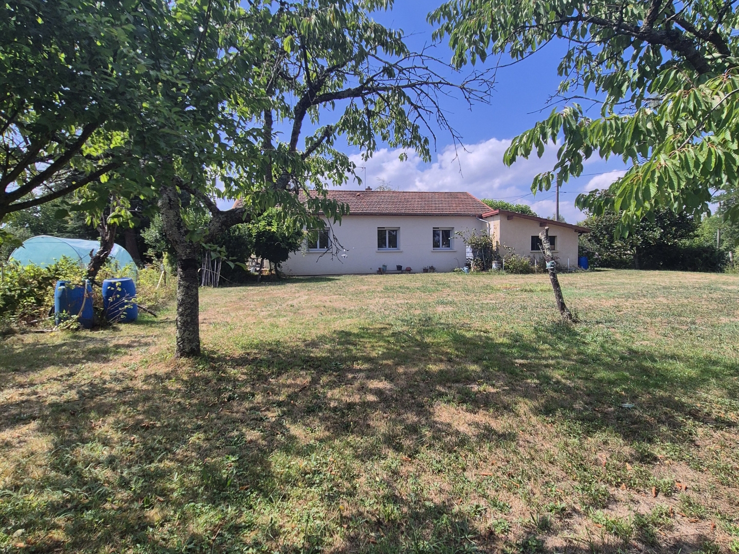 Maison de plain-pied avec 2 644 m2 de terrain st jean sur veyle