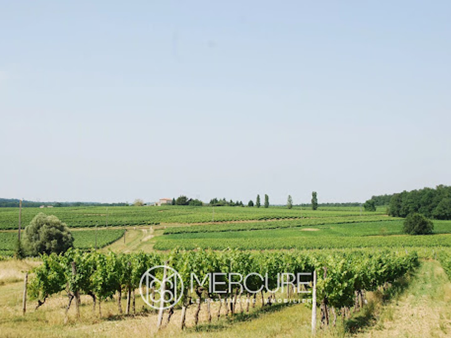 Vignoble 835914 m²