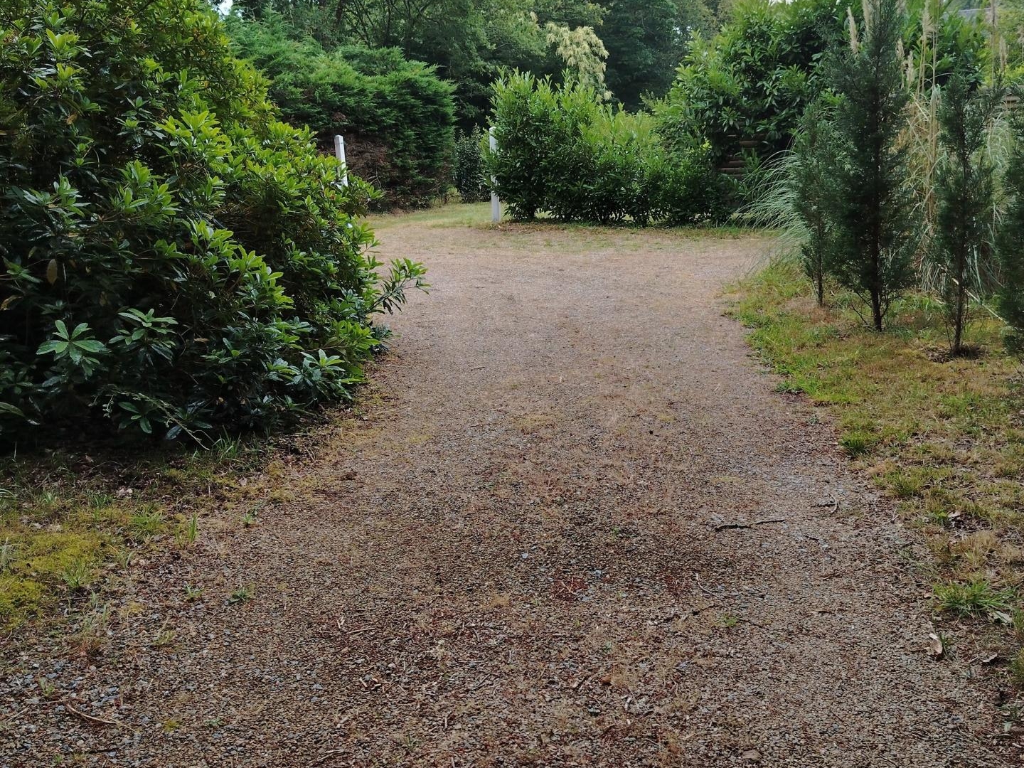 Beau terrain arboré