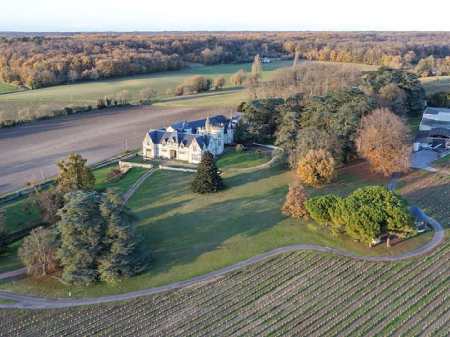 Château avec vignoble Vallée de la Loire AOC Saumur 19 ha