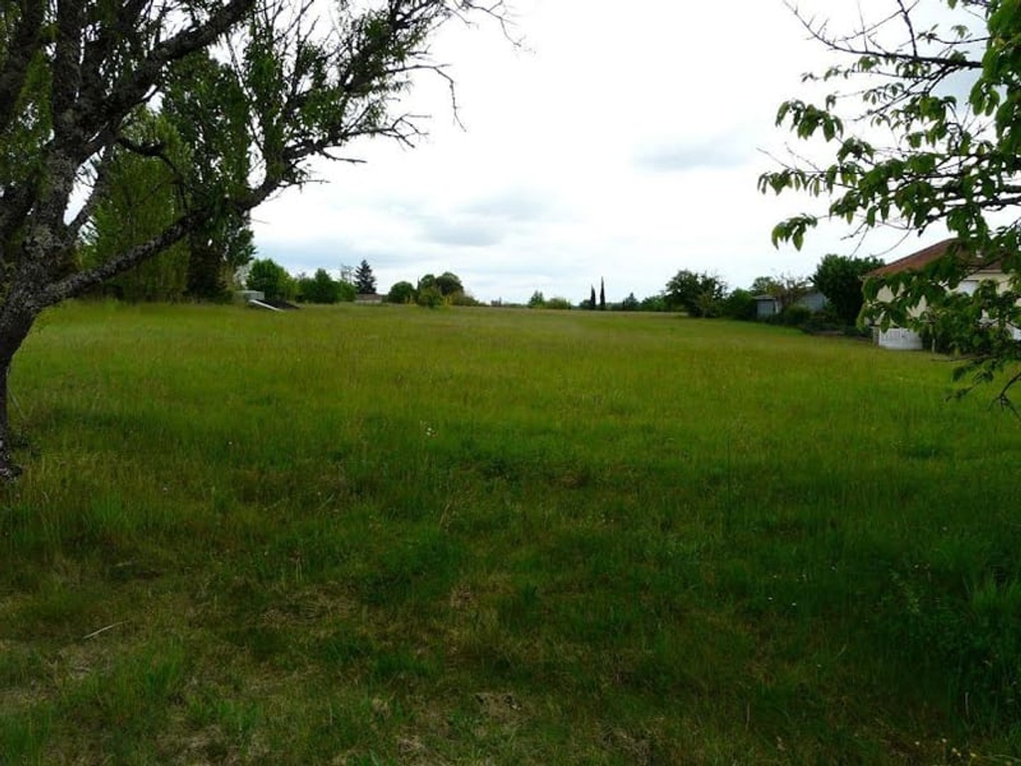 Terrain à bâtir