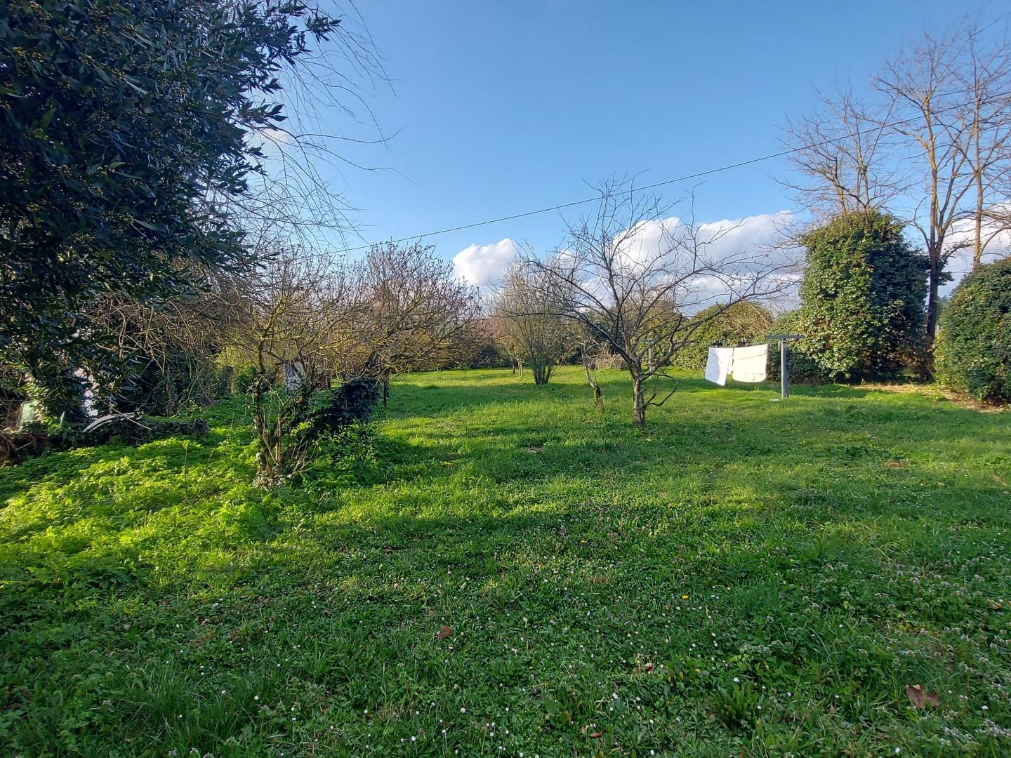 Maison à vendre - 6 pièces - 201m2 - Saint-Émilion (33330)