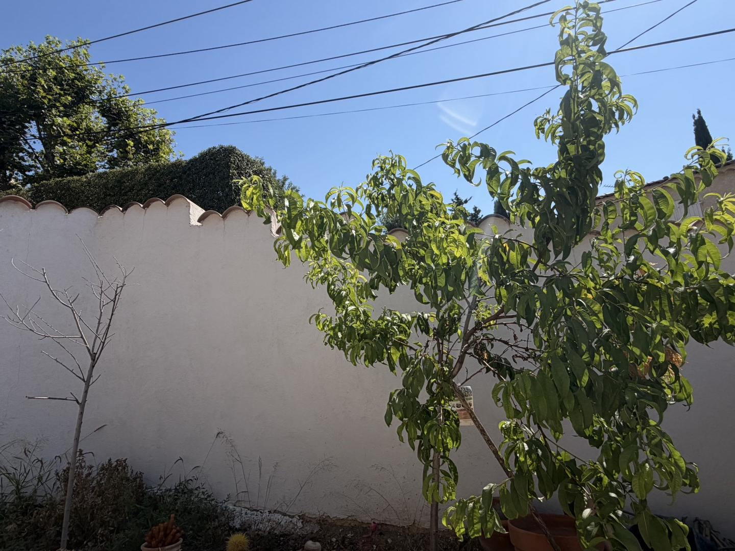 Maison à vendre - 4 pièces - 84m2 - Allauch (13190)