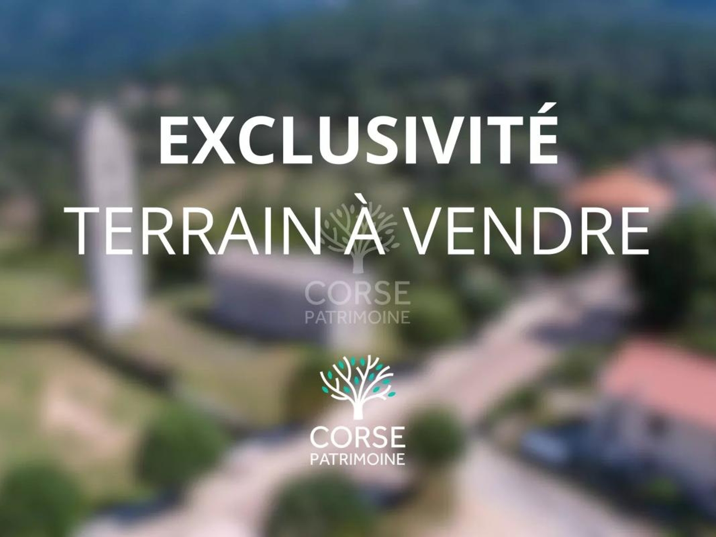 Terrain en individuel 1155 m²