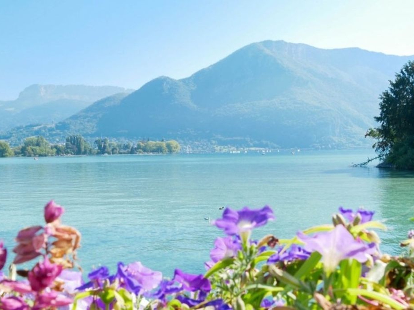 Appartement à vendre - 2 pièces - 52m2 - Annecy (74000)