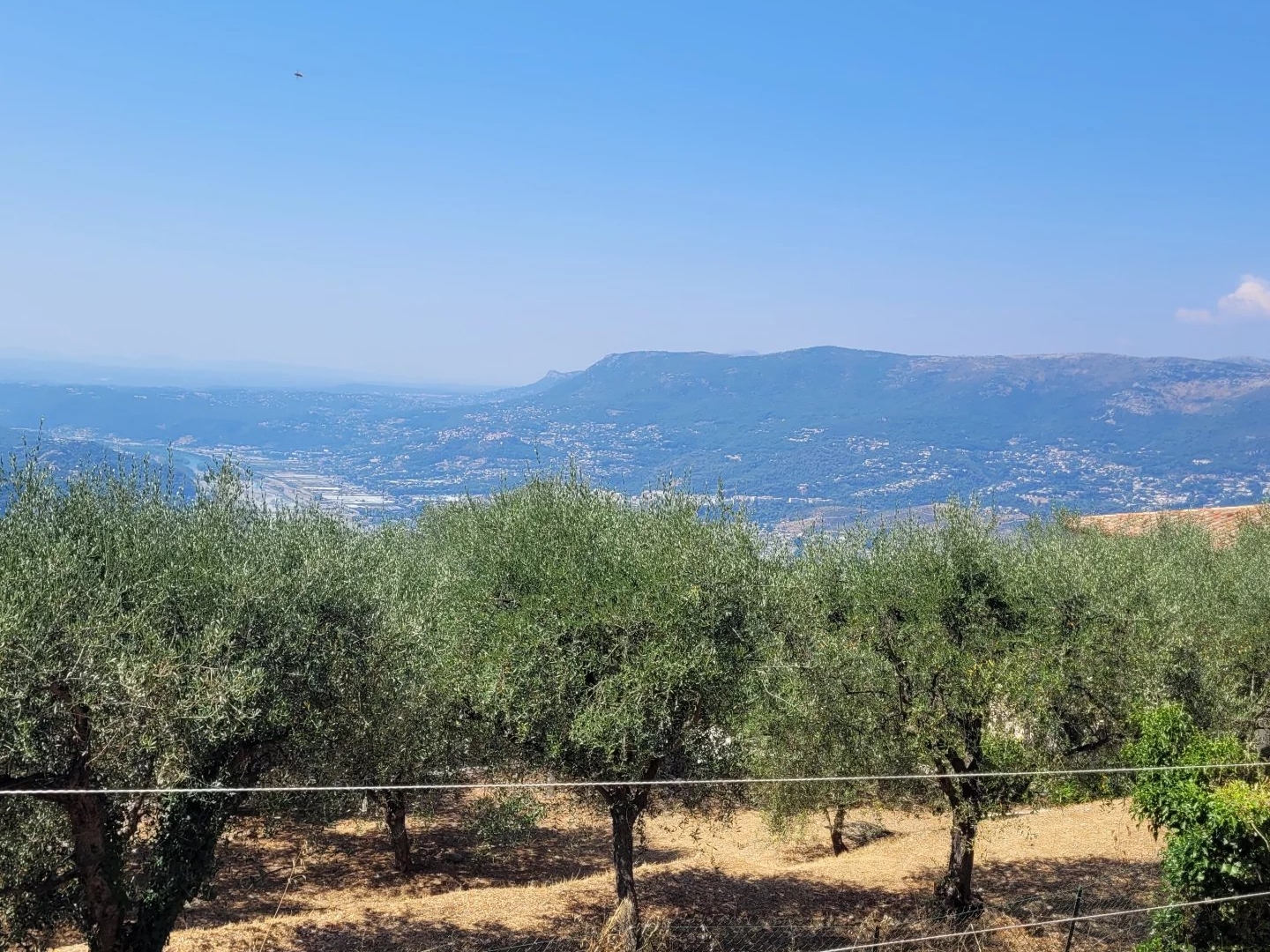 Terrain à vendre - 1100m2 - Aspremont (06790)