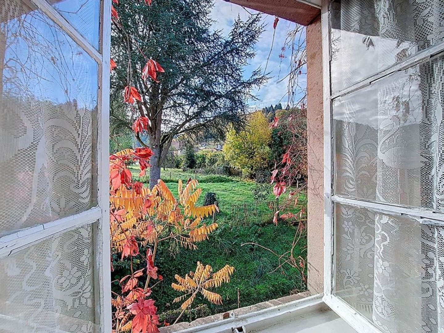Maison à vendre - 481m2 - Lubine (88490)