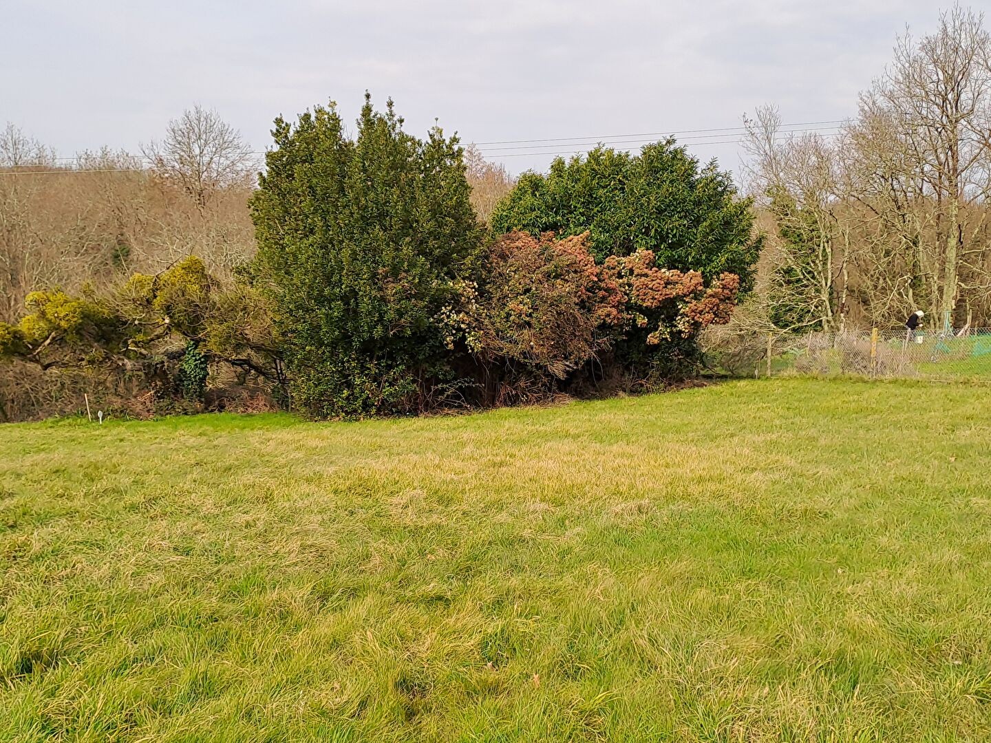 Terrain 500 m²