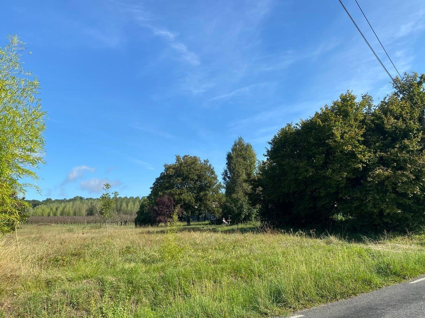 Terrain à vendre - 10404m2 - Dieulivol (33580)