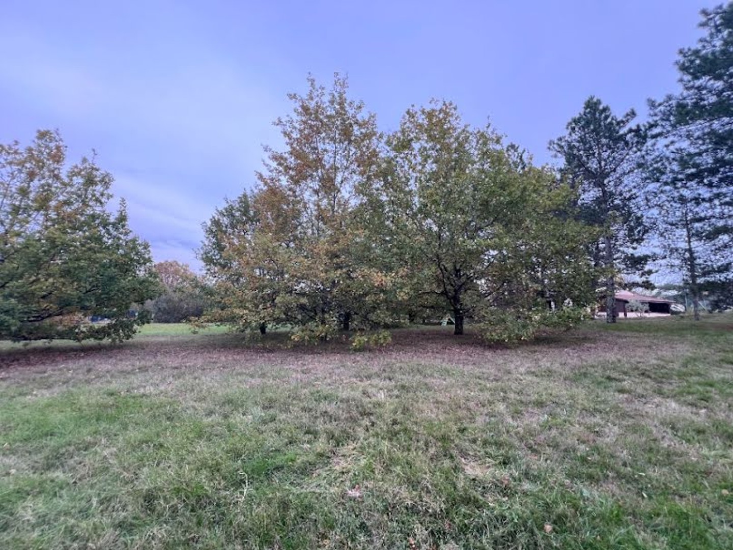 Terrain 1260 m²