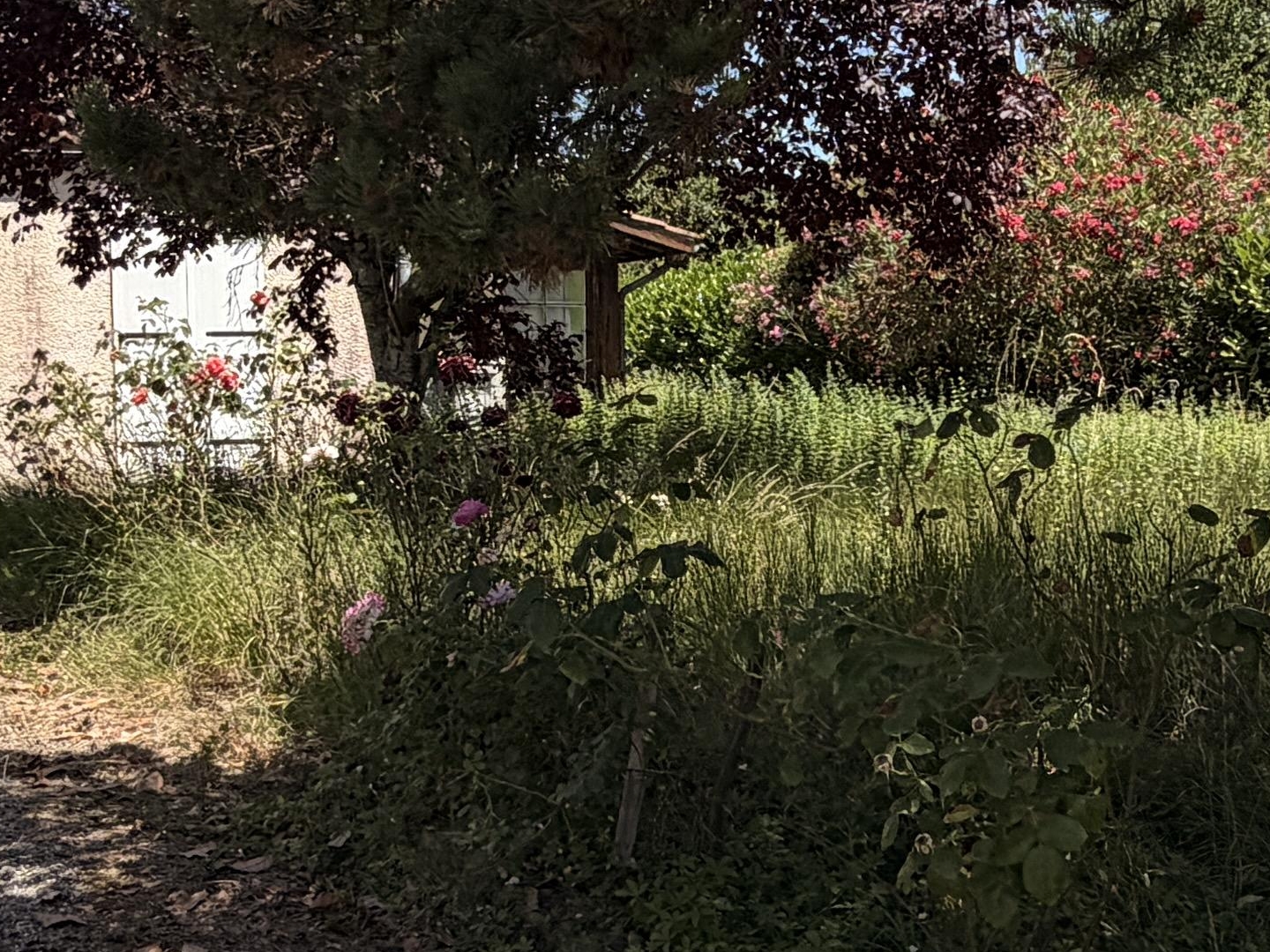 Maison 76 m²